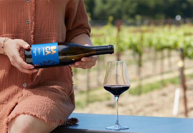 If you're having friends and family over anytime soon, this is your wine!